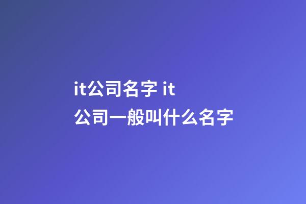 it公司名字 it公司一般叫什么名字-第1張-公司起名-玄機派